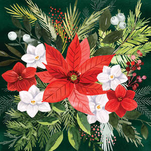 Poinsettias Canvas Art