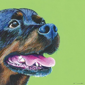Rottweilers Canvas Art