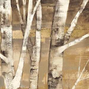 Rustic Décor Canvas Prints