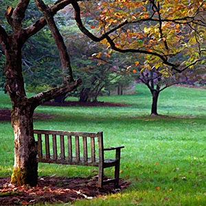 City Parks Canvas Prints