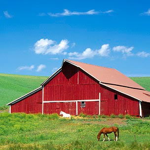 Scenic Country Art Prints