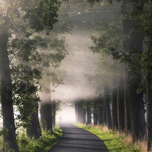 Trails & Paths Canvas Art Prints