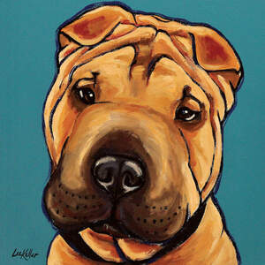 Shar-peis Canvas Prints