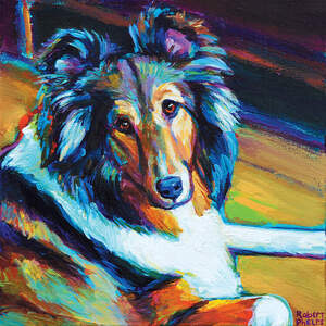 Shetland Sheepdogs Art Prints