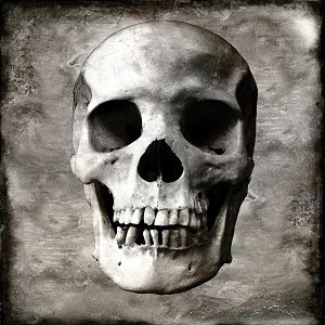 Skulls Canvas Art Prints