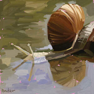Snails Canvas Artwork