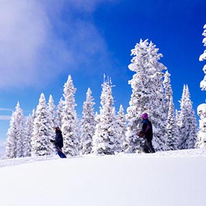 Skiing Canvas Prints