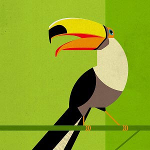 Toucans Canvas Artwork