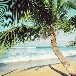 Tropical Beaches Canvas Prints