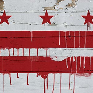 Washington DC Canvas Prints