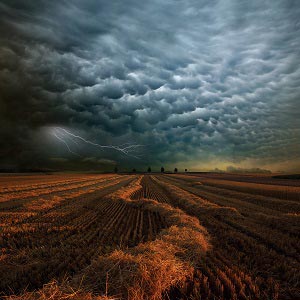 Weather Art Prints