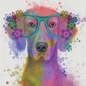 Weimaraners Canvas Prints