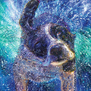 Welsh Springer Spaniels Canvas Prints