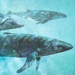 Whales Canvas Artwork