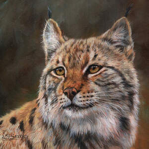 Wild Cats Canvas Prints