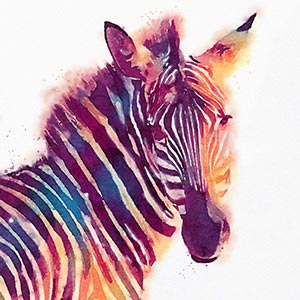 Zebras Canvas Prints